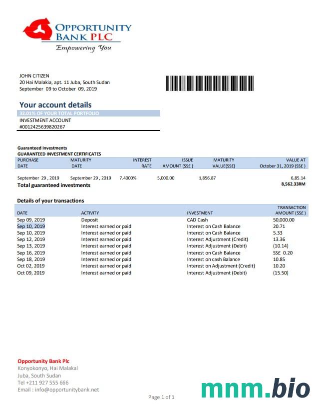 Szablon wyciągu bankowego z kości słoniowej w programie Word i PDF